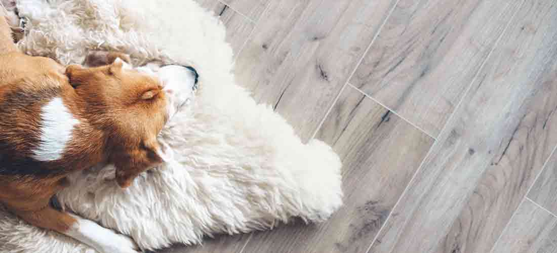 East Hanover Flooring Company, Hardwood Refinishing and Hardwood Floor Installation
